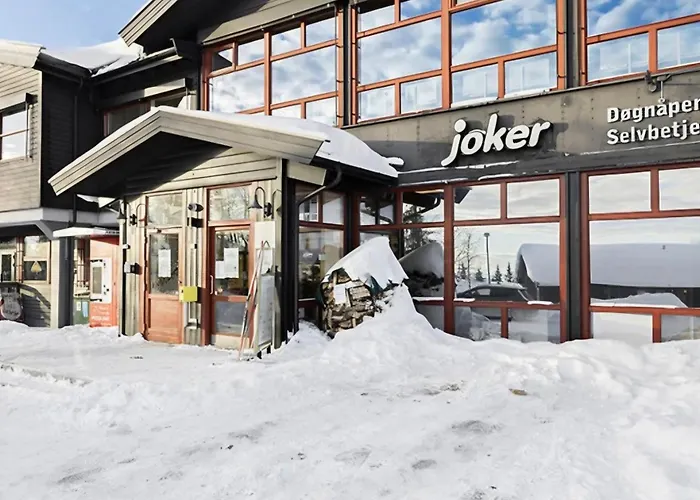 Mountain Norefjell In Out 公寓